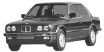 BMW E30 P2446 Fault Code